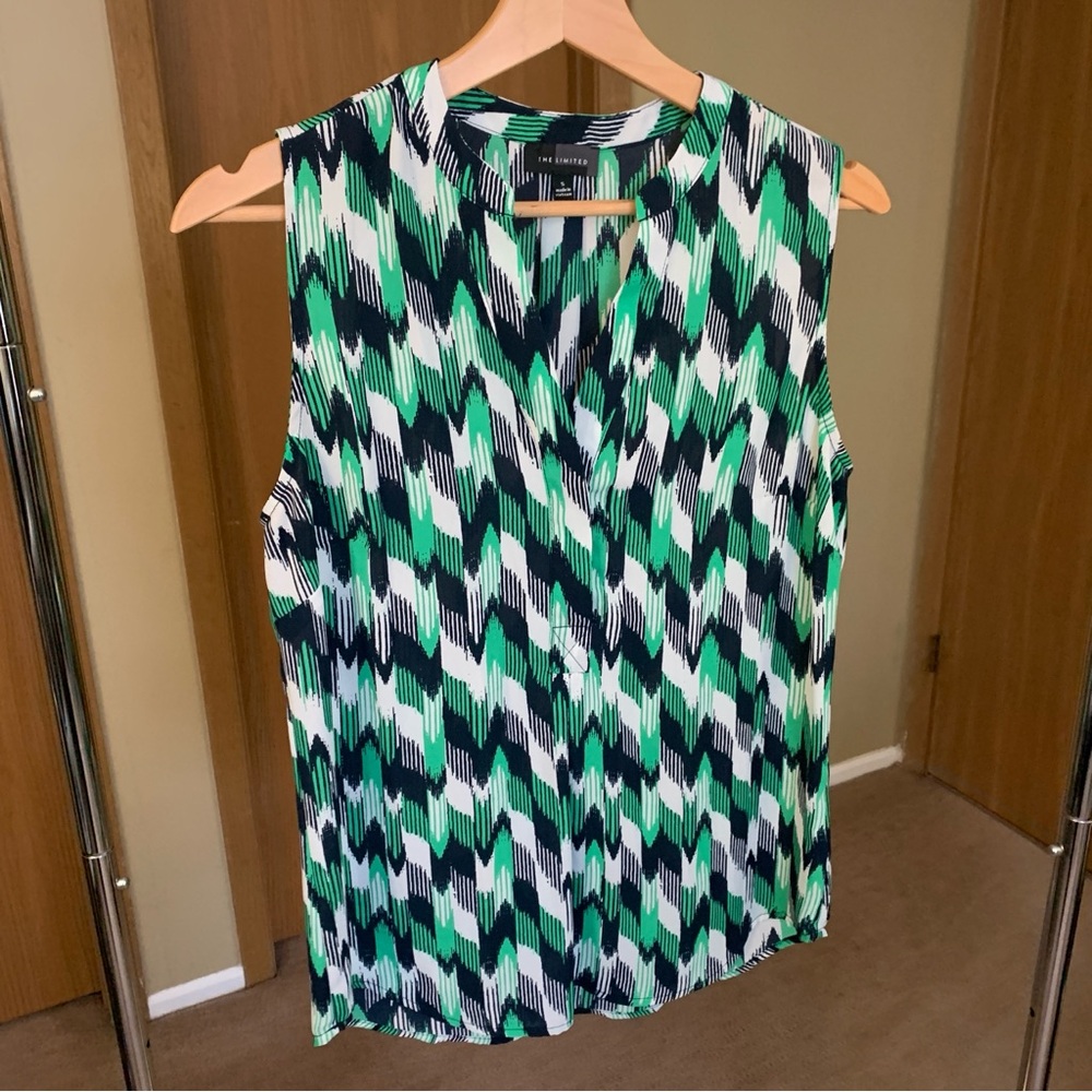 The Limited Blouse